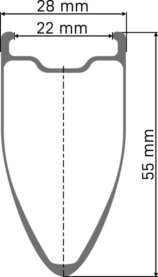 DT Swiss DT ARC 1100 DICUT Laufrad CL 55 100/12 WTS