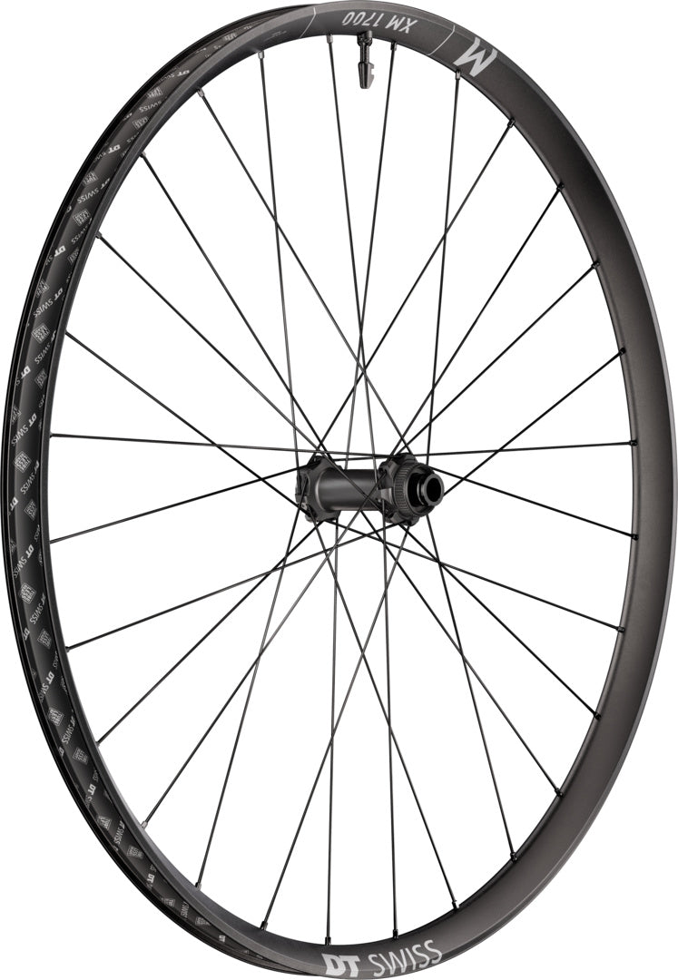 DT Swiss DT XM 1700 SPLINE Laufrad CL 30 110/15
