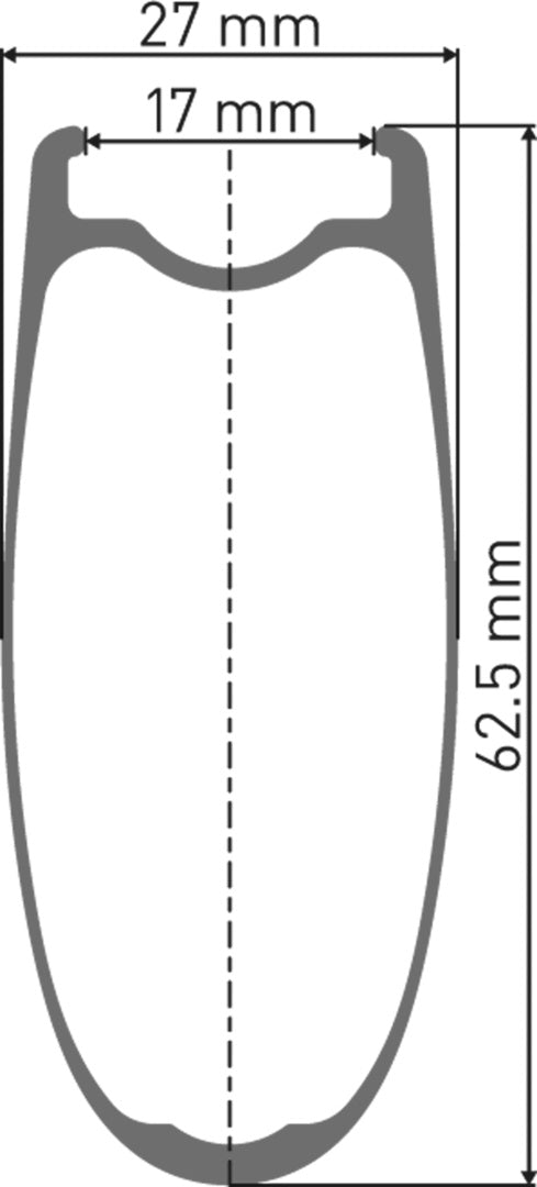 DT Swiss DT ARC 1100 DICUT Laufrad RB 62 100/5