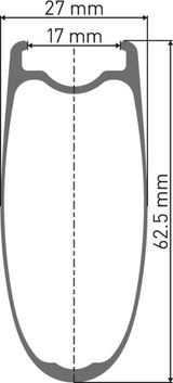 DT Swiss DT ARC 1100 DICUT Laufrad RB 62 100/5