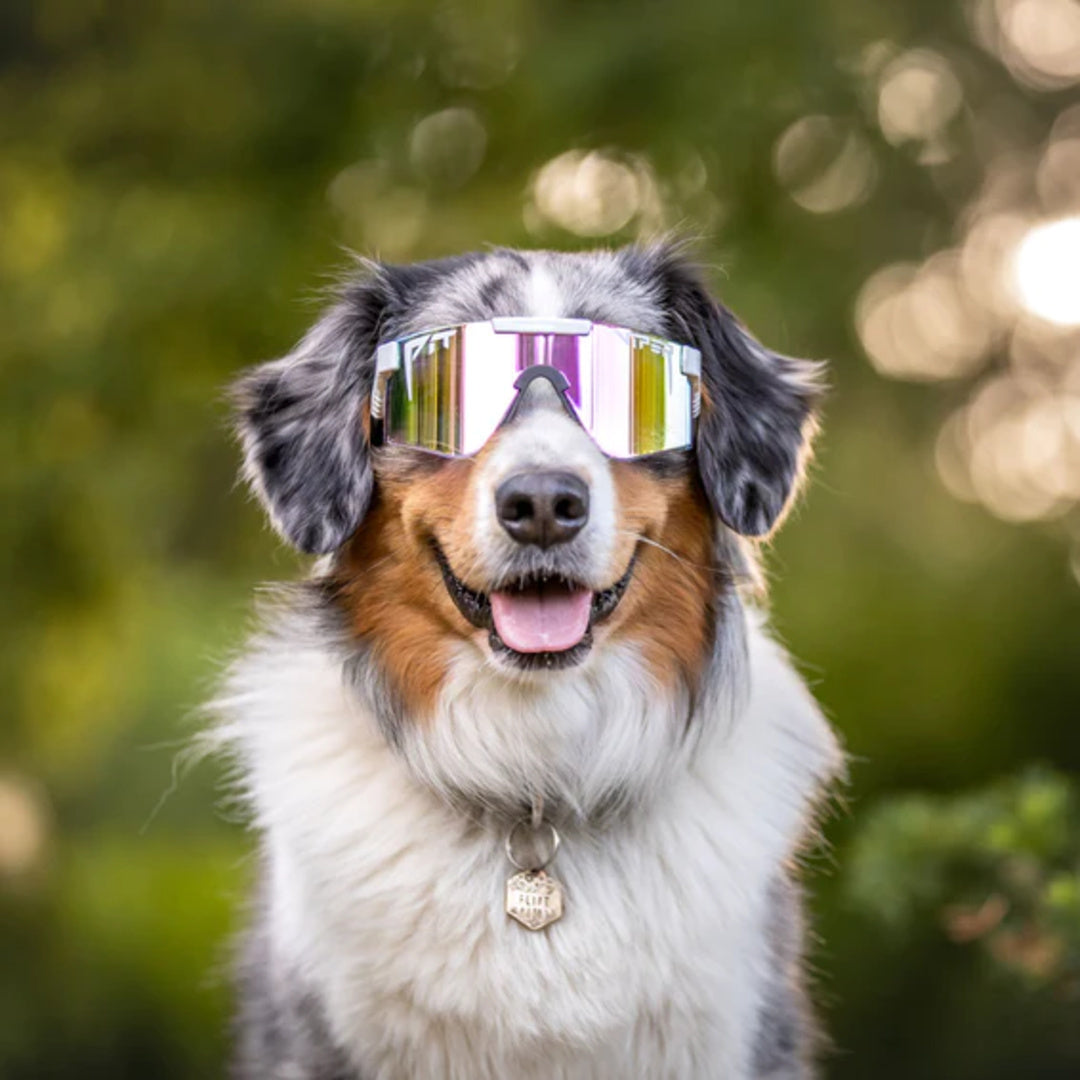 Pit Viper The Miami Nights Original HDPV Polarized