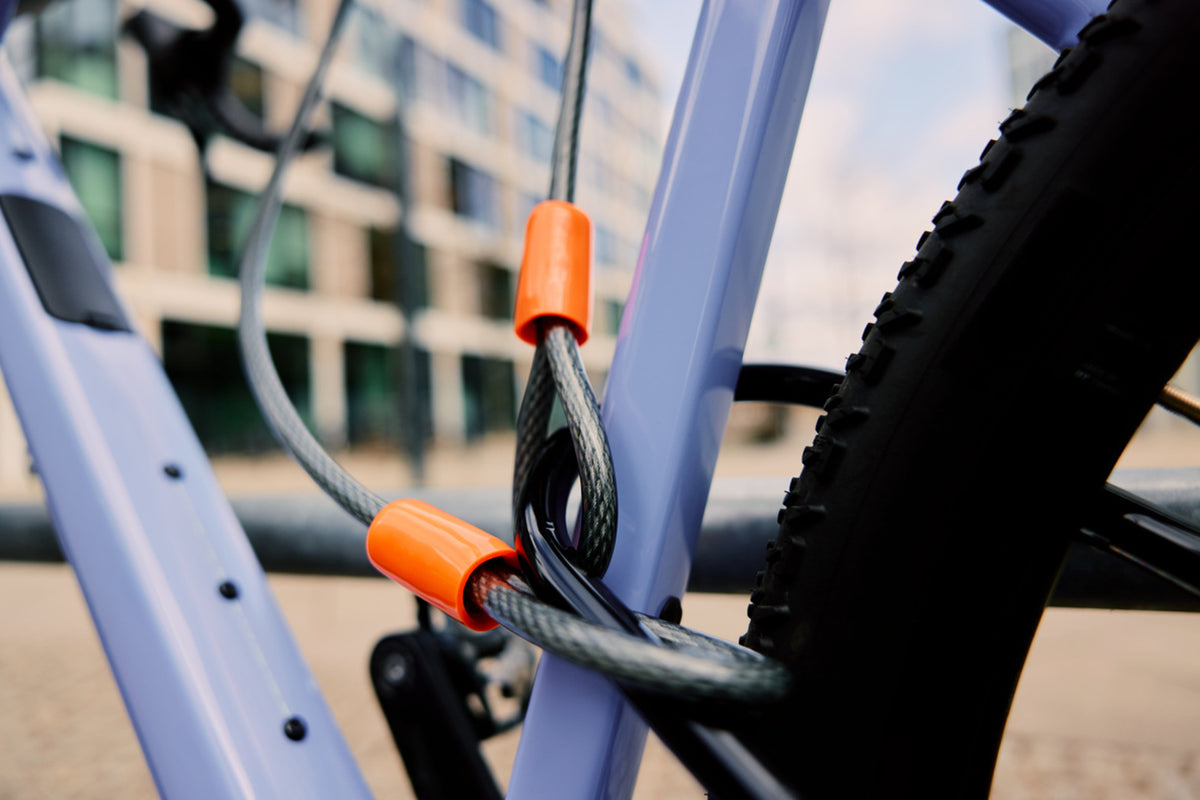 Kryptonite KryptoFlex 1007 Kabel 220cm