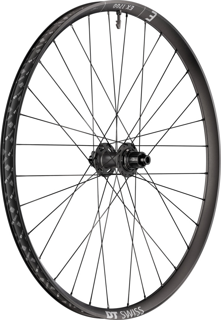 DT Swiss DT EX 1700 CLASSIC Laufrad IS 30 148/12 MS DEG 72 DF