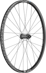 DT Swiss DT H 1900 SPLINE Laufrad 29" CL 30 110/15