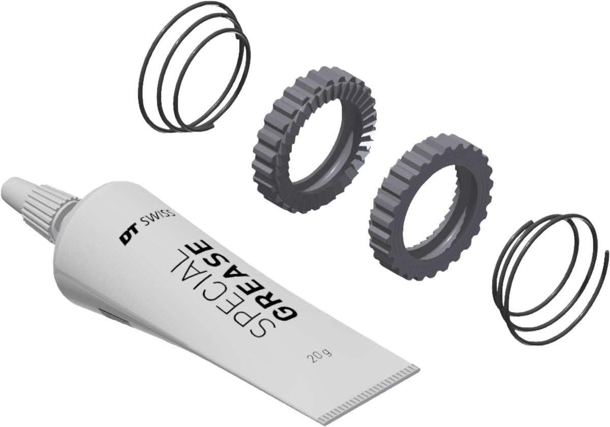 DT Swiss DT Service Kit Ratchet SL 36T
